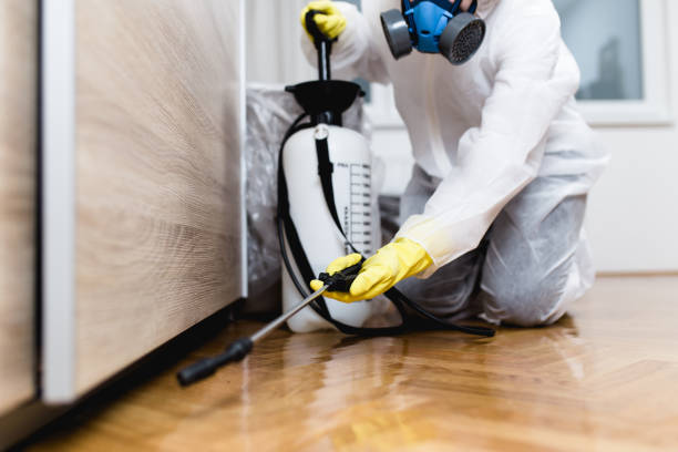 Best Pest Inspection Near Me  in Spanish Fork, UT