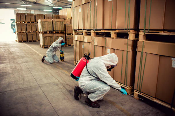 Trusted Spanish Fork, UT Pest Control Experts