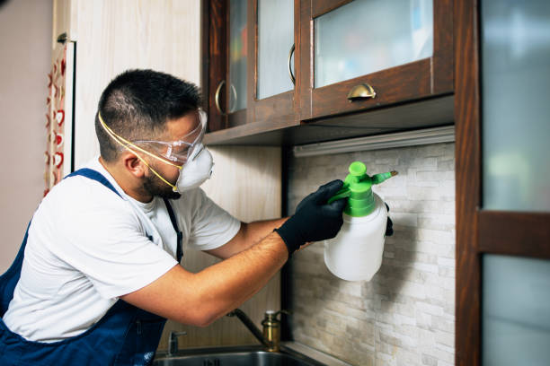 Best Exterminator Services  in Spanish Fork, UT