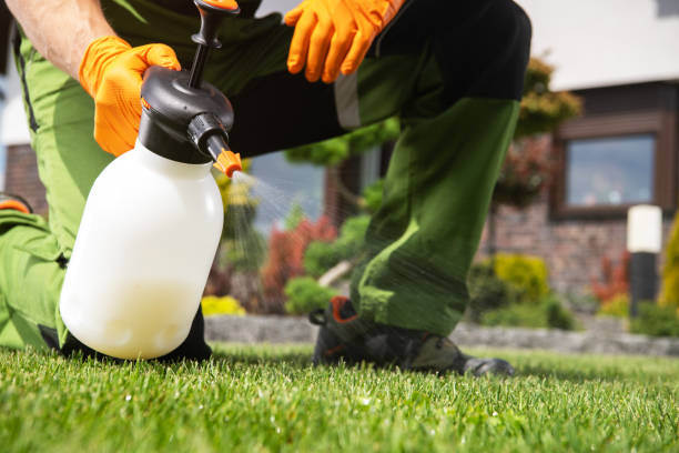 Best Pest Control Near Me  in Spanish Fork, UT