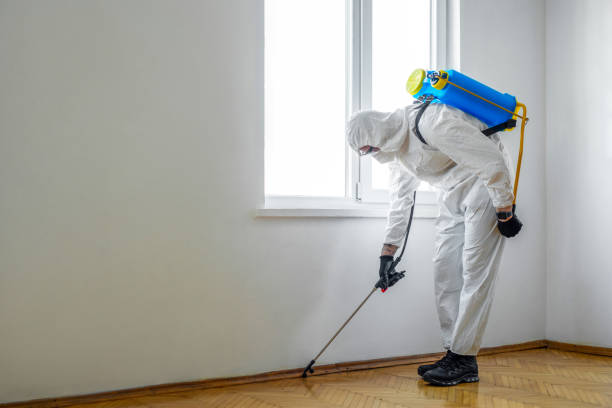Best Pest Control for Restaurants  in Spanish Fork, UT