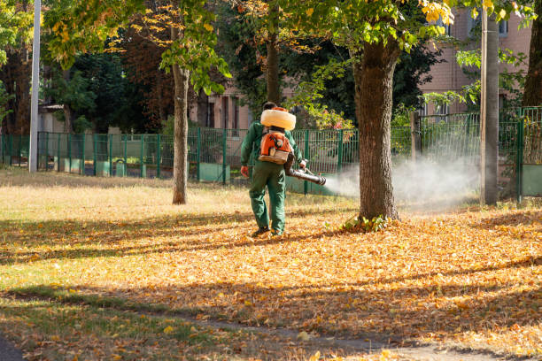 Best Pest Removal Services  in Spanish Fork, UT