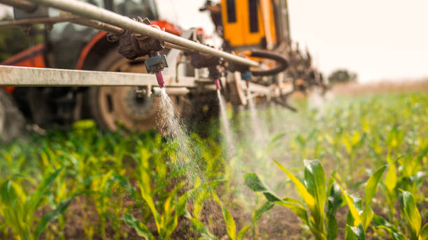 Best Best Pest Control Companies  in Spanish Fork, UT