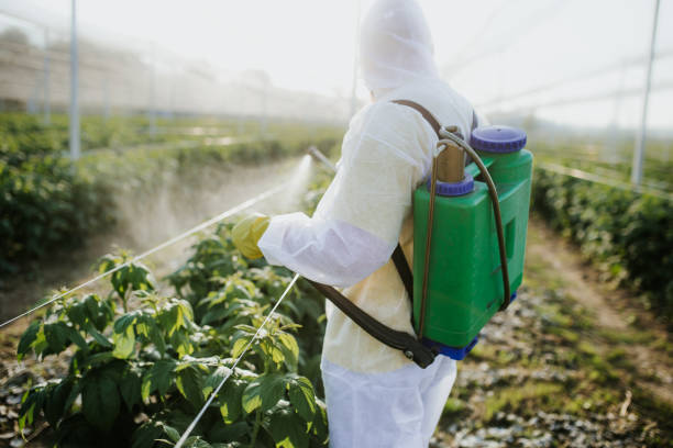 Best Affordable Pest Control Services  in Spanish Fork, UT